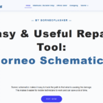 Borneo Schematics 2 Users 3 Months