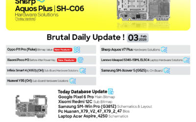 Borneo Schematics 2 User 6 Months Activation Code