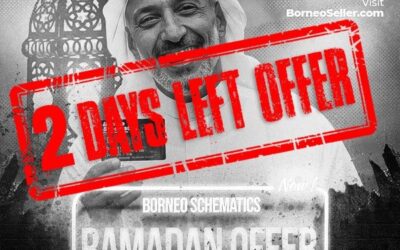 Borneo Schematics 2 Days Left Offer